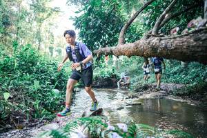 BIB: 
                            <button type="button" onclick="openModal(25434009)" class="btn btn-primary btn-sm float-right btn-popup" data-toggle="modal" data-target=".modal-high-quality">
                        <i class="fas fa-shopping-cart"></i> Add to Cart
                    </button>
                                            <button type="button" onclick="isThisMe(25434009, true)" class="btn btn-success btn-sm float-right btn-popup btn-isme hidden" data-toggle="tooltip" data-placement="bottom" title="นี่คือรูปของคุณใช่ไหม คลิกที่นี่เพื่อเอาเข้าอัลบั้ม">
                        <i class="fas fa-plus"></i> Add to album
                    </button>
                    <button type="button" onclick="isThisMe(25434009, false)" class="btn btn-warning btn-sm float-right btn-popup btn-isnotme hidden">
                        <i class="fas fa-ban"></i> Remove from album
                    </button>